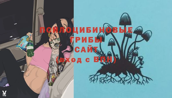 прущие крисы Няндома