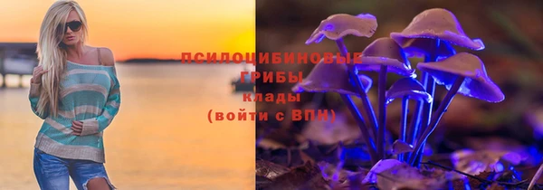 MDMA Новозыбков