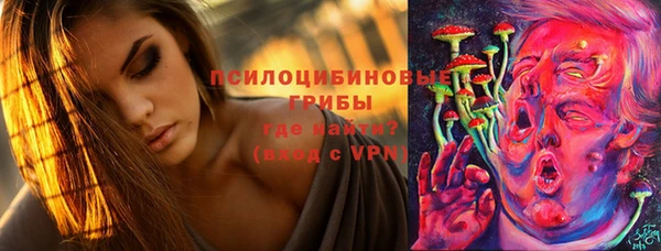 прущие крисы Няндома