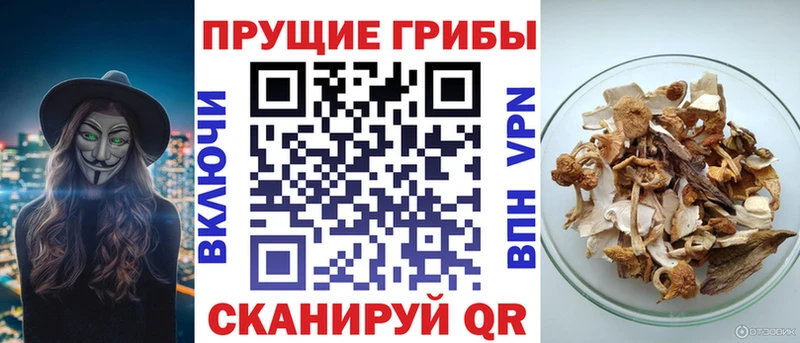где найти наркотики  ОМГ ОМГ вход  Галлюциногенные грибы мицелий  Мегион 